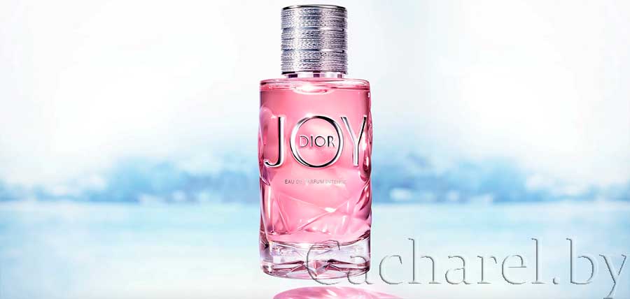 Женская парфюмерия Dior Joy